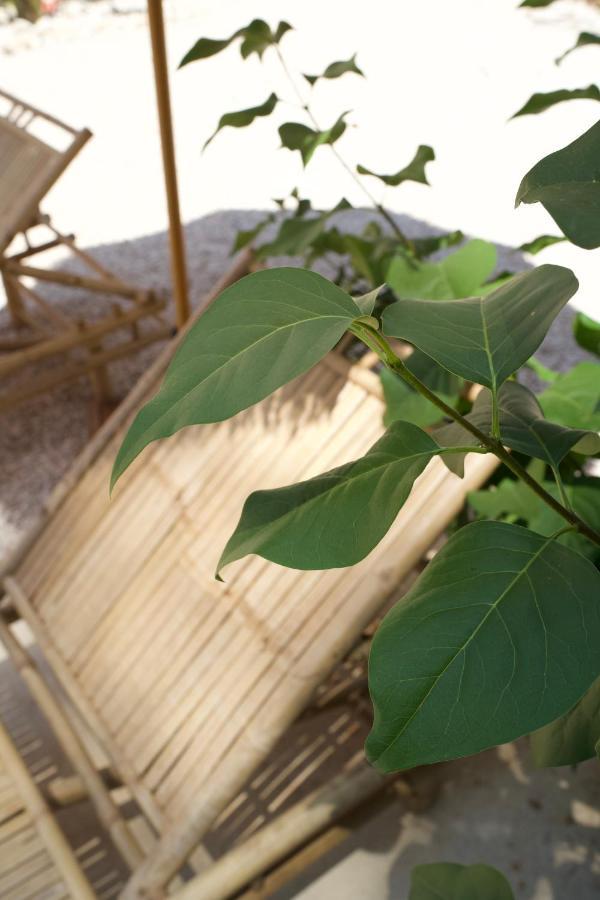 L'amarantine Holiday home *
