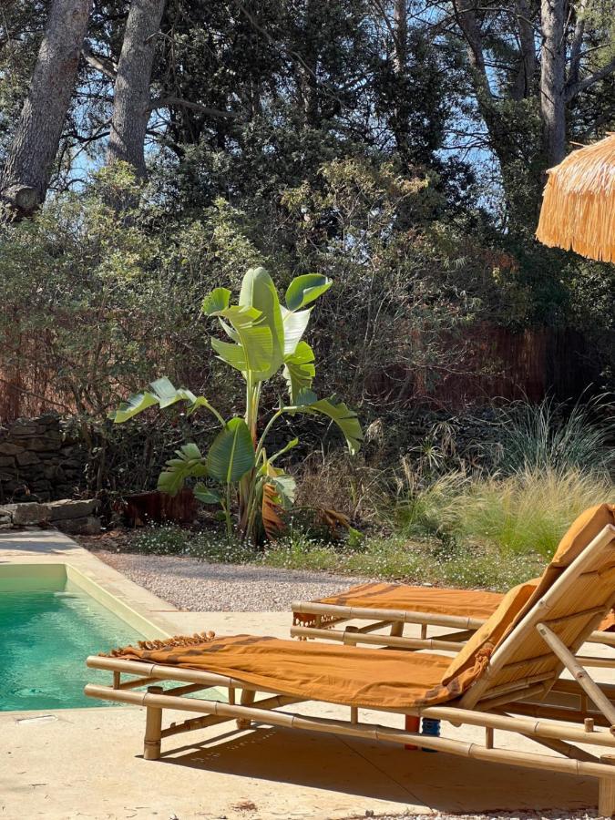 L'amarantine Hébergement de vacances
